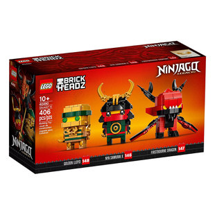 LEGO BrickHeadz NINJAGO 10 Years 40490