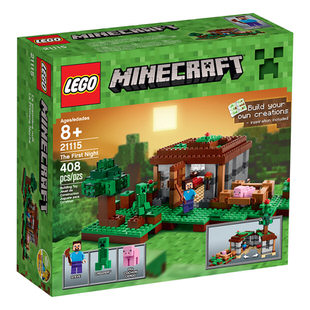 LEGO Minecraft The First Night 21115